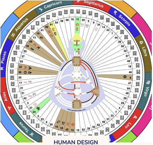 Human Design Consultation