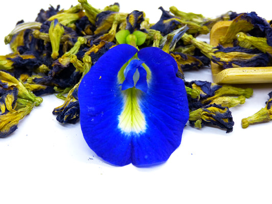 Butterfly Pea Tea Wild Harvested